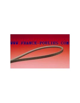 COURROIE POLYFLEX 5 M 300