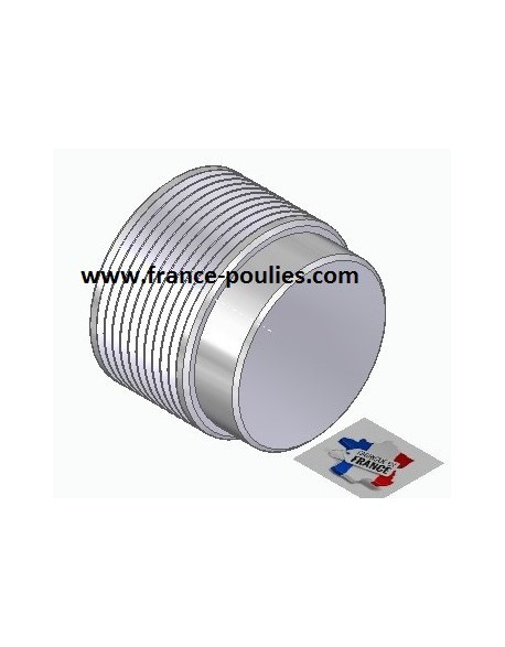 POULIE POLY-V ALU Øext50 PJ 10 DENTS