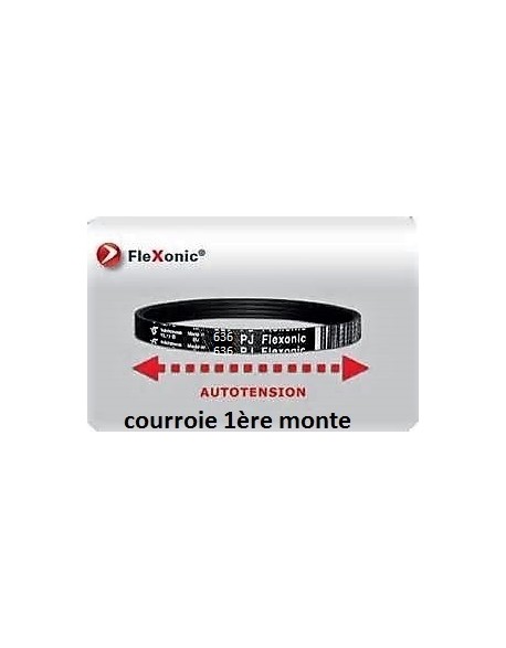 COURROIE POLY V 636 PJ 6 FLEXONIC